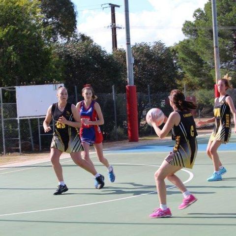 Nicole McMahon gives her latest Mallee Netball report on the Friday Sports Show