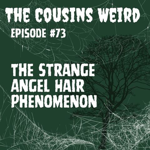 Episode #73 The Strange Angel Hair Phenomenon
