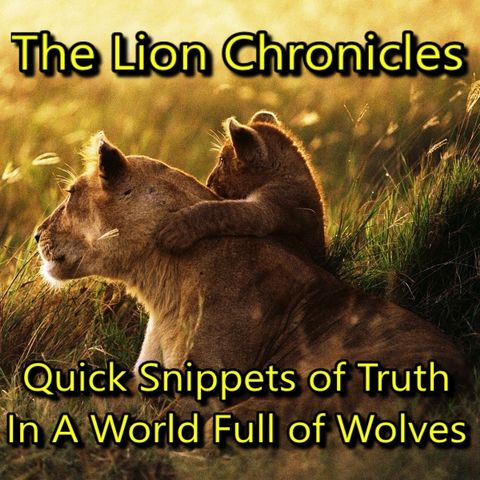 Episode 2 - Discernment Against Wolves