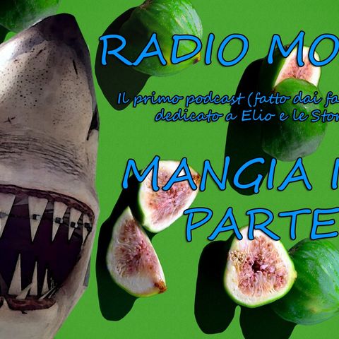 Radio Mosche - Puntata 16: Mangia i Fiki (Parte II)