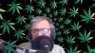 ProCannabisMedia Cannabis Chat Live September 10, 2020