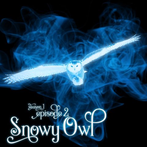 S1E2: Snowy Owl