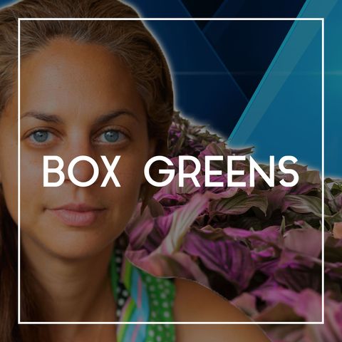 63 Lisa Merkle on Box Greens, Sustainability, and the Future of Hydroponic Farming