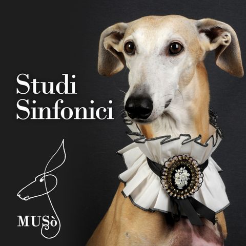Studi Sinfonici