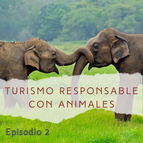 #2 Turismo responsable con animales