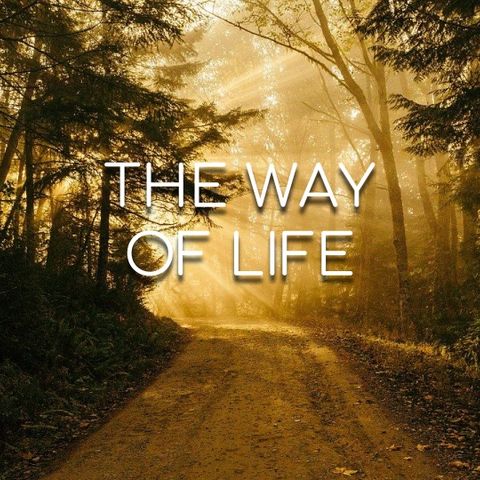 The Way of Life - Morning Manna #2950
