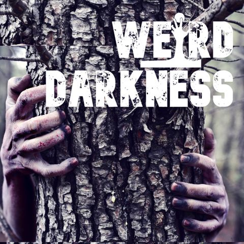 “THERE IS NOWHERE TO RUN IN THE WOODS” - True Stories of Terror in the Wilderness! #WeirdDarkness