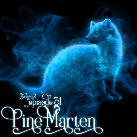 S2E31: Pine Marten