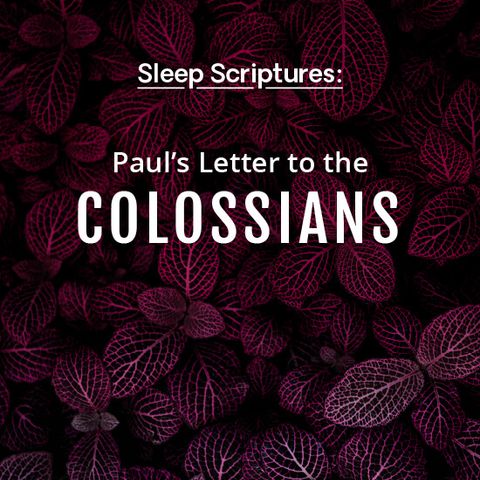 Paul's Letter to the Colossians