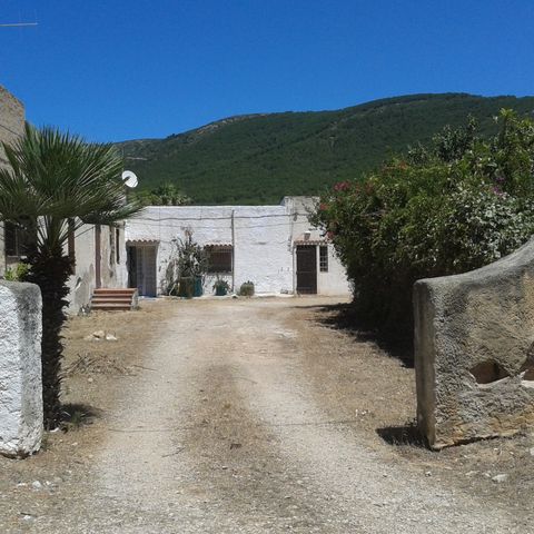 Il Saio