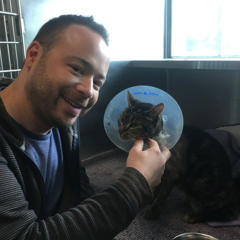 Samosa, Cat That Survived Being Hit By Car, Finds A Home
