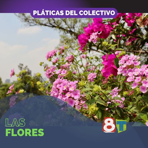 Las flores