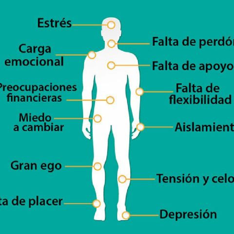 Como Son Mis clases Cursos Y Terapias- Guillermo Guzmán |El Humanauta