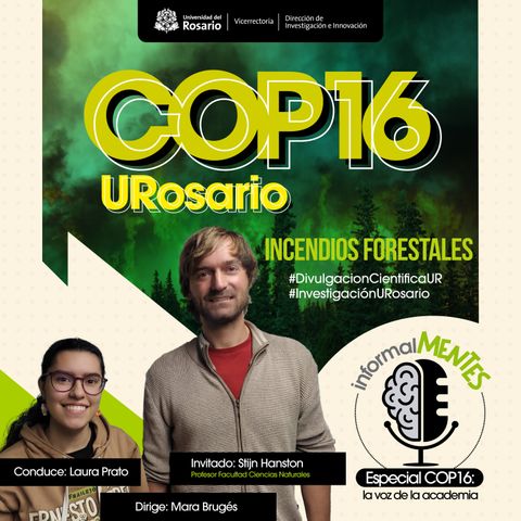 Cop 16: Incendios Forestales