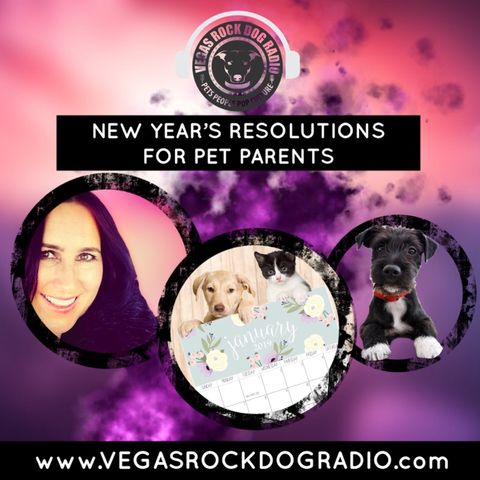 Pet Parent Resolutions To Improve Your Pet's Health And Wellness