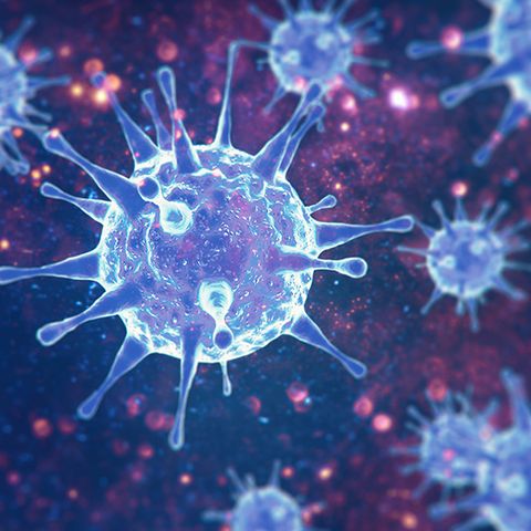 Coronavirus will not be stopped by summer heat, study says