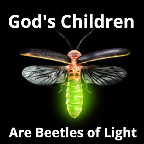 God's Children are Beetles of Light!!!