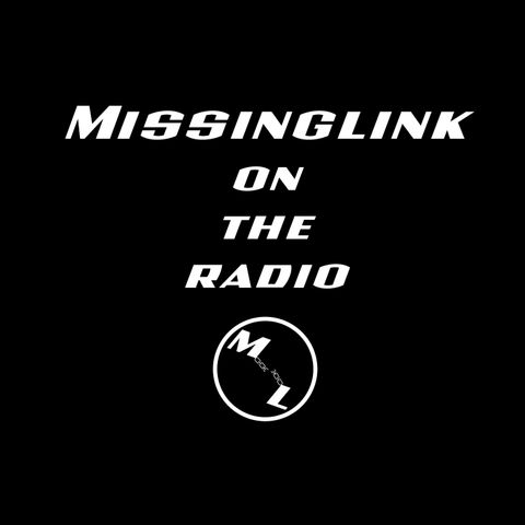 MissingLink on the radio #009