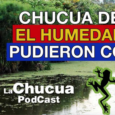 🐸 La Chucua de Fagua el Humedal que NO pudieron construir...  #LaChucuaPodcast 🎙️ edición 9.