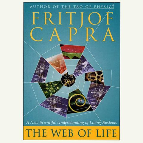 The Web of Life A New Scientific Understanding of Living Systems