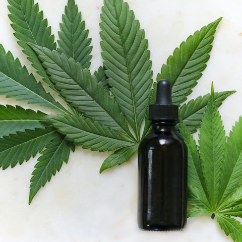 CBD tra le sostanze stupefacenti, Mannaioni di Sitox spiega perché