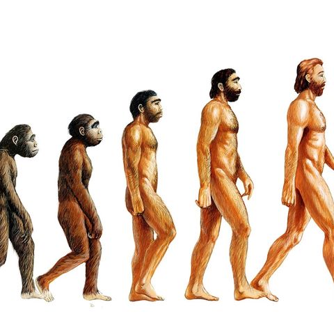 116 | Does modern technology affect human evolution?