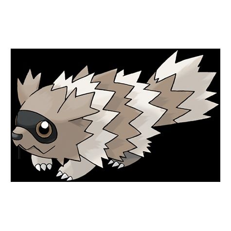 #263 Zigzagoon