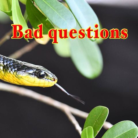 Bad Questions, Genesis 3:1-3