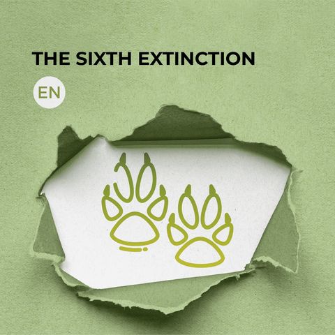 The sixth extinction
