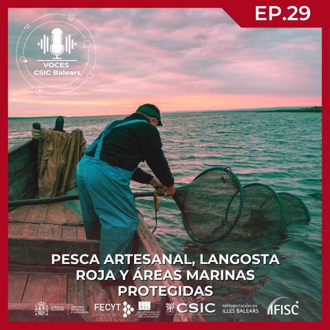 Pesca artesanal, langosta roja y áreas marinas protegidas #29