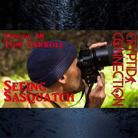 Episode 28 Tom Carroll Seeing Sasquatch