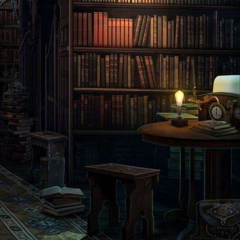 Trabaje en una biblioteca con reglas extrañas