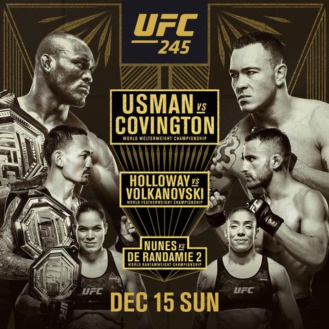UFC 245: Usman vs Covington Alternative Commentary