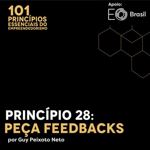 Princípio 28: Peça Feedbacks