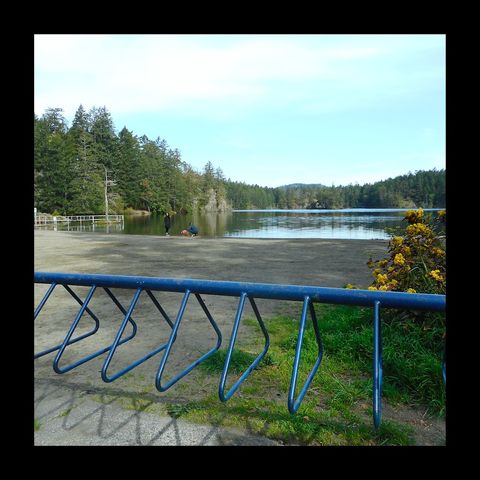Thetis Lake re-visited