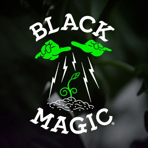 BLACK MAGIC- (PRE-REC)