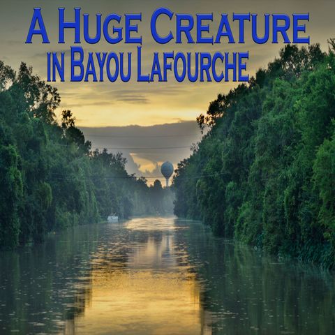 A Beast in Bayou LaFourche