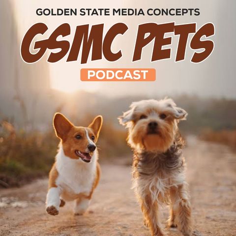 GSMC Pets Podcast Episode 2: They Could Be Pets