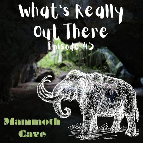 Mammoth Cave