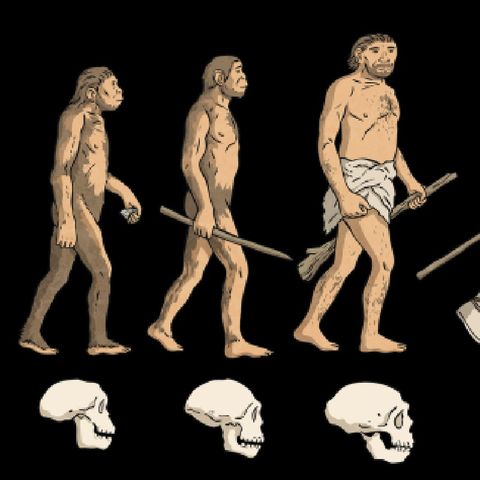 Evolution part 2