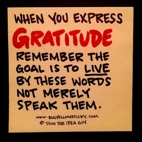 Gratitude Express : BYS 325