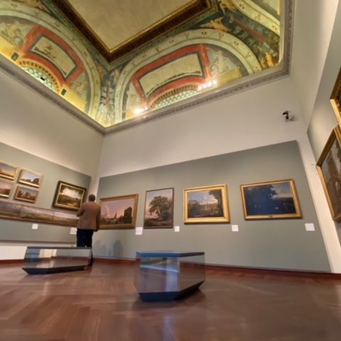 Da solo al Museo - Ludovico Pratesi a Palazzo Braschi a Roma