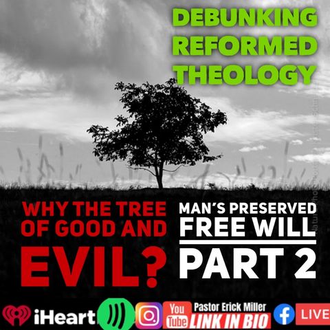 Ep 239 Why the Tree in the Garden Part 2