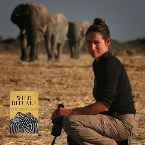 Elephant Researcher Dr. Caitlin O'Connell
