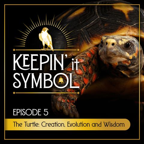 The Turtle: Creation, Evolution and Wisdom