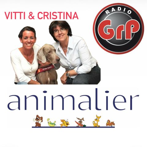 Copertina del podcast