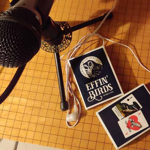 182 -- Eff That -- building a brand -- with Aaron from Effinbirds