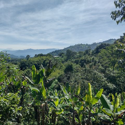 Ecuador, jóvenes del Chocó Andino resistiendo a la minería