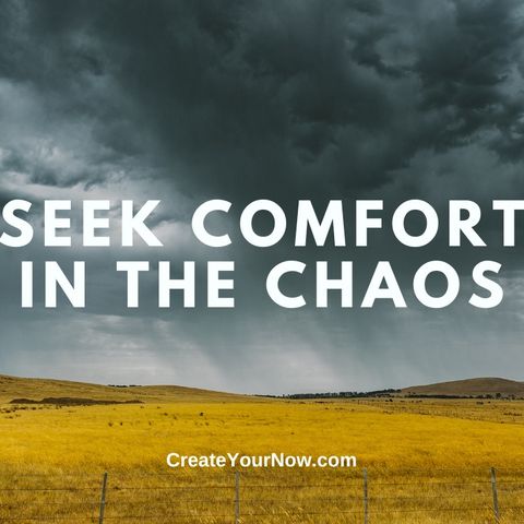 3462 Seek Comfort in the Chaos