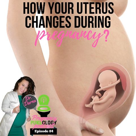 How Does The Pregnant Uterus Change? Pregnancy Pukeology Podcast EP. 84